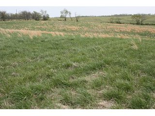Property photo 14 - 438 +/- Acres Offered in 10 Tracts - Metcalf Farms - 6PM CST